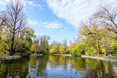 Bucharest, Romania, 6 November 2021: Vivid green landscape with old large linden trees and green leaves near the lake in Cismigiu Garden (Gradina Cismigiu), in the city center, in a sunny autumn day