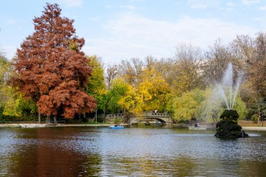 Bucharest, Romania, 6 November 2021: Vivid green landscape with old large linden trees and green leaves near the lake in Cismigiu Garden (Gradina Cismigiu), in the city center, in a sunny autumn day
