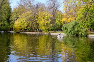 Bucharest, Romania, 6 November 2021: Vivid green landscape with old large linden trees and green leaves near the lake in Cismigiu Garden (Gradina Cismigiu), in the city center, in a sunny autumn day