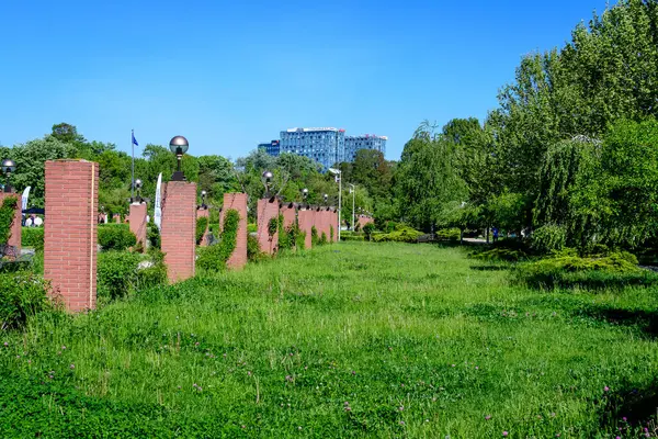 stock image Bucharest, Romania - 9 May 2021: Landscape with grass, roses and large old green trees towards clear blue sky in King Michael I Park (Herastrau), in a sunny spring day