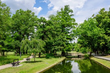 Vivid landscape in Nicolae Romaescu park from Craiova in Dolj county, Romania, with lake, waterlillies and large green tres in a beautiful sunny spring day with blue sky and white clouds clipart