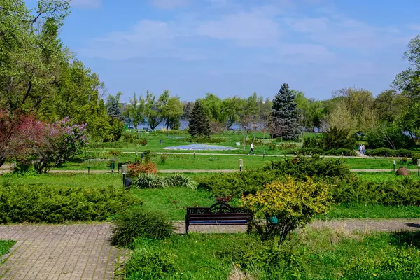 stock image Landscape with large old green trees, grass and bushes  in King Michael I Park (former Herastrau) in Bucharest, Romania, in a sunny autumn day