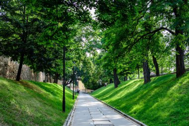 Romanya 'nın Transilvanya (Transilvanya) bölgesindeki Sibiu kentinin tarihi merkezinde, Citadel Parkı' nda (Parcul Cetatii) uzun bir ara sokak ve yeşil ağaçlar güneşli bir yaz gününde