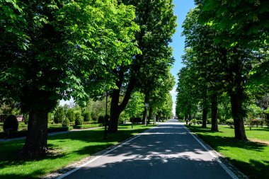 Romanya 'nın Bükreş kentine yakın güneşli bir bahar gününde, eski yeşil ağaçlar ve Mogosoaia Parkı' ndaki (Parcul Mogosoaia) gri geçitli manzara