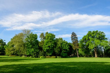 Romanya 'nın Bükreş kenti yakınlarındaki güneşli bir bahar gününde Mogosoaia Park' taki (Parcul Mogosoaia) eski yeşil ağaçların manzarası