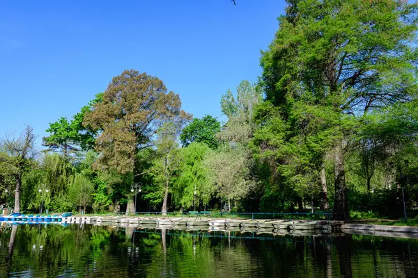 stock image Vivid green landscape with old large linden trees and small boats near the lake in Cismigiu Garden (Gradina Cismigiu), a public park in the city center of Bucharest, Romania, in a sunny spring day