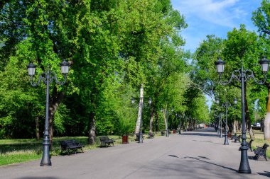 Romanya 'nın Bükreş kentine yakın güneşli bir bahar gününde, eski yeşil ağaçlar ve Mogosoaia Parkı' ndaki (Parcul Mogosoaia) gri geçitli manzara