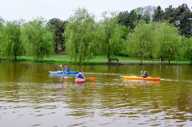 Bucharest, Romania - 1 May 2021: Men in kayaks on water and green weeping willow trees on the shoreline of Titan Lake in Alexandru Ioan Cuza (IOR) Park in a cloudy spring day with white sky clipart