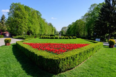 Romanya 'nın Targoviste şehrinden, beyaz bulutlar ve mavi gökyüzü ile güneşli bir bahar gününde, Chindia Park' taki (Parcul Chindia) canlı yeşil ağaçlar ve çimlerle kaplı manzara