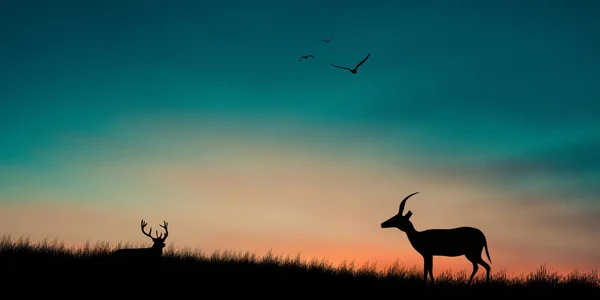 萨凡纳长颈鹿的轮廓 — 图库照片