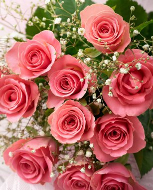 Taze, parlak, pembe güller. Çiçek arkaplan, tatil geçmişi, yakın plan, seçici odak