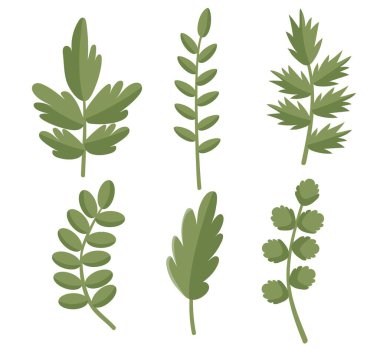 Farklı yaprak çeşitleri, yeşil çiçekler, bahar ve yaz temaları. Beyaz arkaplanda vektör illüstrasyon taslak şablonu