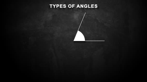 Animated Footage Types Angles — Stock Video