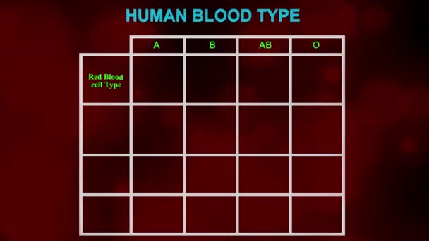Tipos Sangue Humano Chart Ilustração — Vídeo de Stock