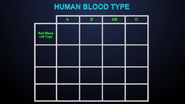 Tabla Tipos Sangre Humana Animación — Vídeo de stock