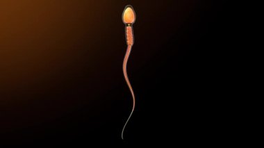 Siyah arkaplanda sperm hareketi 33d illüstrasyon