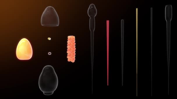 Sperma Insgesamt Teile Erklärung Animation — Stockvideo