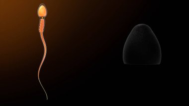 Acrosome3d illüstrasyonunun 3d görüntüsü