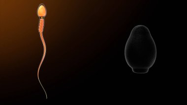 Baş Plasma membrane3d illüstrasyon