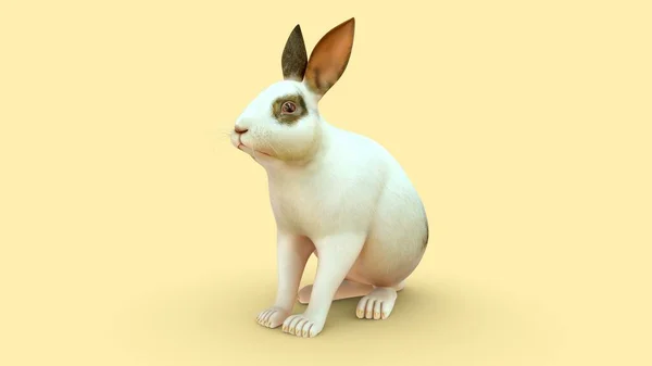 Ilustración Renderizada Conejo —  Fotos de Stock
