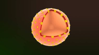 Arka planda izole edilmiş bir hayvan hücresi.