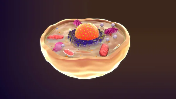 Arka Planda Izole Edilmiş Bir Hayvan Hücresi — Stok fotoğraf