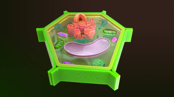 Animal cell isolated in background.3d illustration
