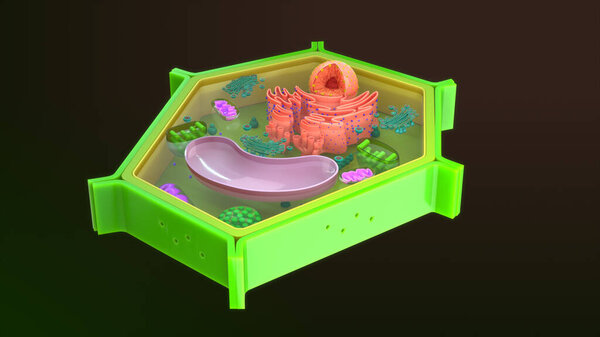 Animal cell isolated in background.3d illustration