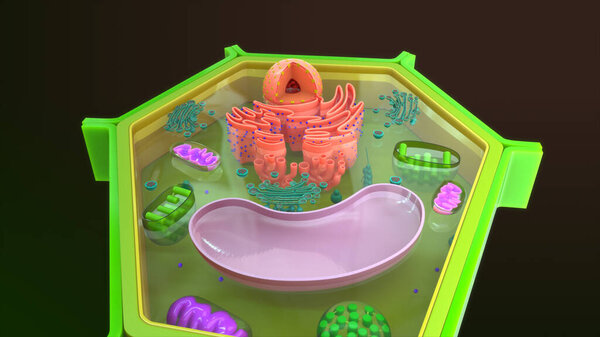 Animal cell isolated in background.3d illustration