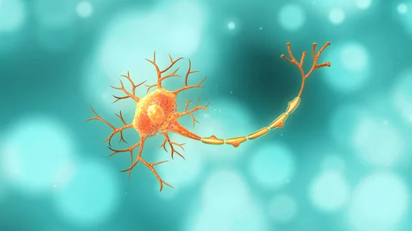 Anatomía Neurona Aislada Fondo Azul Ilustración — Foto de Stock