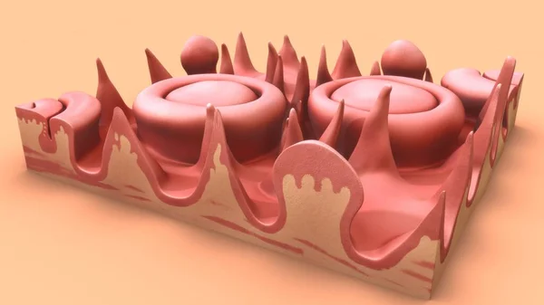 舌状乳头在舌解剖学中的三维表现 — 图库照片