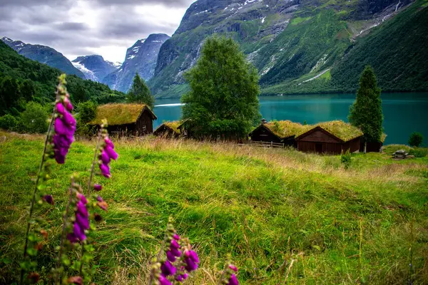 Lovatnet Gölü 'nün yanındaki eski çiftlik, Norveç.
