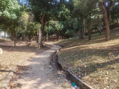 Parkta bir sürü yaprak ve ağaçla yürüyorum. 