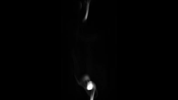 Fumaça Sobe Trickle Baixo Para Cima Fundo Escuro Imagens Alta — Vídeo de Stock