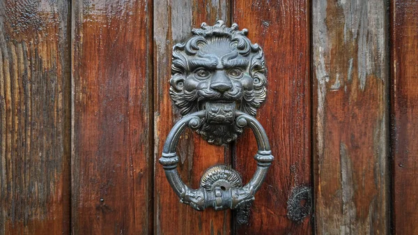 stock image Decorative bronze handle in the form of a lions head on an antique wooden door knocks on a wooden door close-up