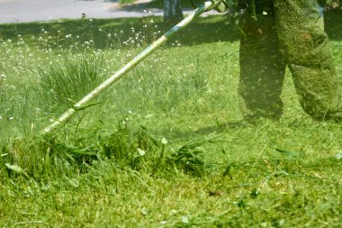 Çim biçme makinesi parktaki çimlerin uzun yeşil çimlerini kesiyor..