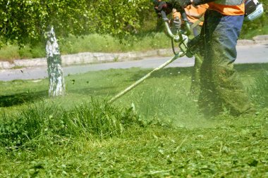 Çim biçme makinesi parktaki çimlerin üzerindeki uzun yeşil çimleri biçer. Kesilen küçük çimenler farklı yönlere uçar..