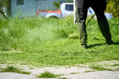 Parkta benzin budayıcı ile uzun yeşil çimenler kesiyor, çim biçme makinesinin kestiği küçük çimenler farklı yönlere uçuyor, budama makinesine ve kıyafetlere yapışıyor, park alanını yeşillendiriyor..