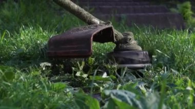 Parktaki çimlerin üzerinde çim biçme makinesiyle çim biçmek..