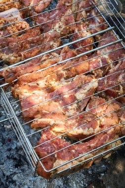 Kömür ızgarasında domuz pirzolası pişirmek kırsalda bir piknikte.