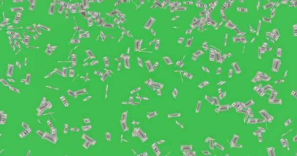 Анимация 100 Долларовых Купюр Падающих Зеленый Экран Хрома Ключ Концепция — стоковое видео