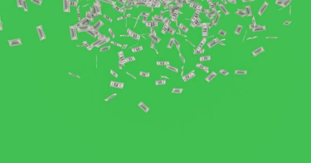 Animace Stodolarových Bankovek Padajících Zelenou Obrazovku Nebo Chroma Klíč Koncept — Stock video