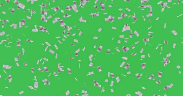 Animatie Van 500 Euro Biljetten Vallen Groen Scherm Chroma Sleutel — Stockvideo