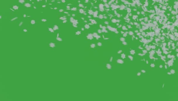 雪盖在绿色的背景上 冬季缓慢降雪效果的铬键 4K动画 — 图库视频影像
