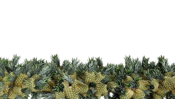Ananas Izolowany Przejrzystym Tle — Zdjęcie stockowe