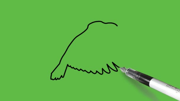 在抽象的绿色背景上画一只展翅展翅的坐鸟 画上黑色的轮廓 — 图库视频影像