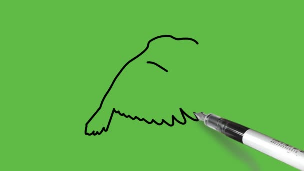 緑の抽象的な背景に黒の輪郭と青 Firoziと灰色の色の組み合わせで灰色の翼を広げて座って鳥を描く — ストック動画