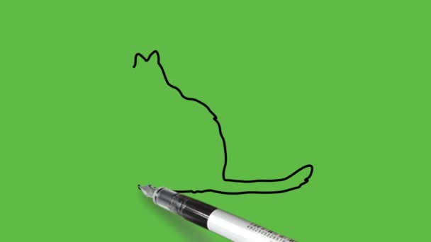 Kreslit Kočku Sedět Zadní Tlapky Modré Barvě Kombinaci Černým Obrysem — Stock video