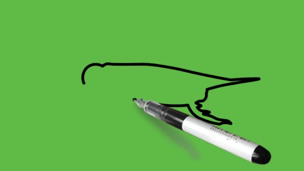 Kreslit Kobylku Modré Kombinaci Černým Obrysem Abstraktním Zeleném Pozadí — Stock video
