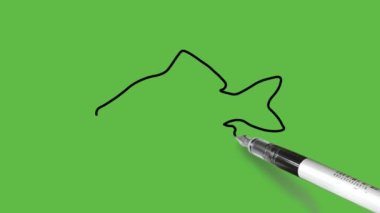 Açık ve koyu kahverengi renkli sazan balığı ile soyut yeşil arkaplan üzerinde siyah çizgili sazan balığı çiz